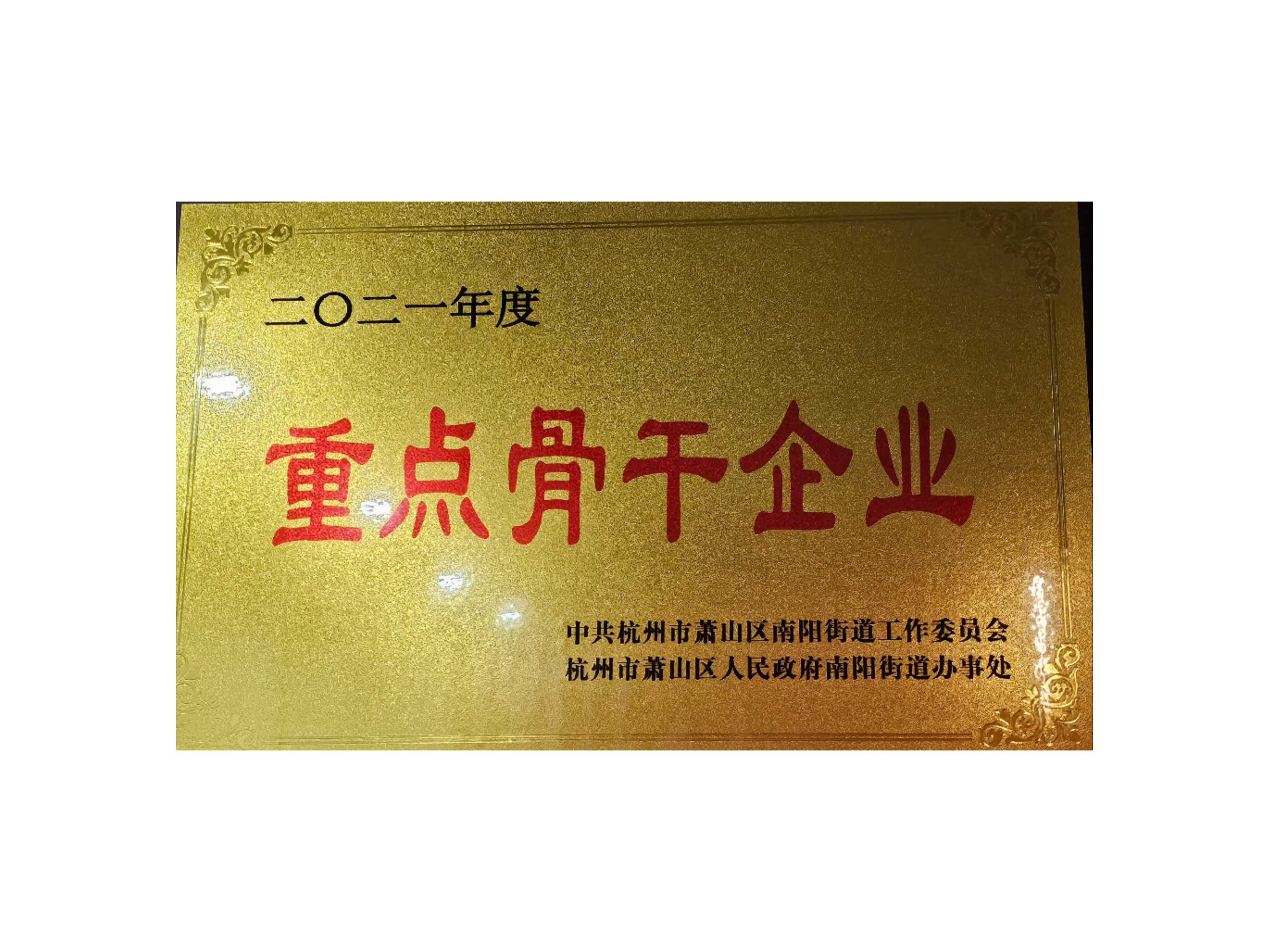 重点骨干企业